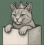 Stepping into the box icon